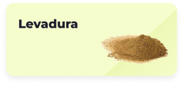 Levadura