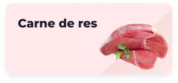 Carne de res