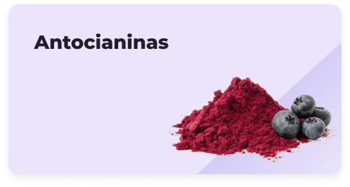 Antocianinas