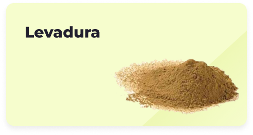 Levadura